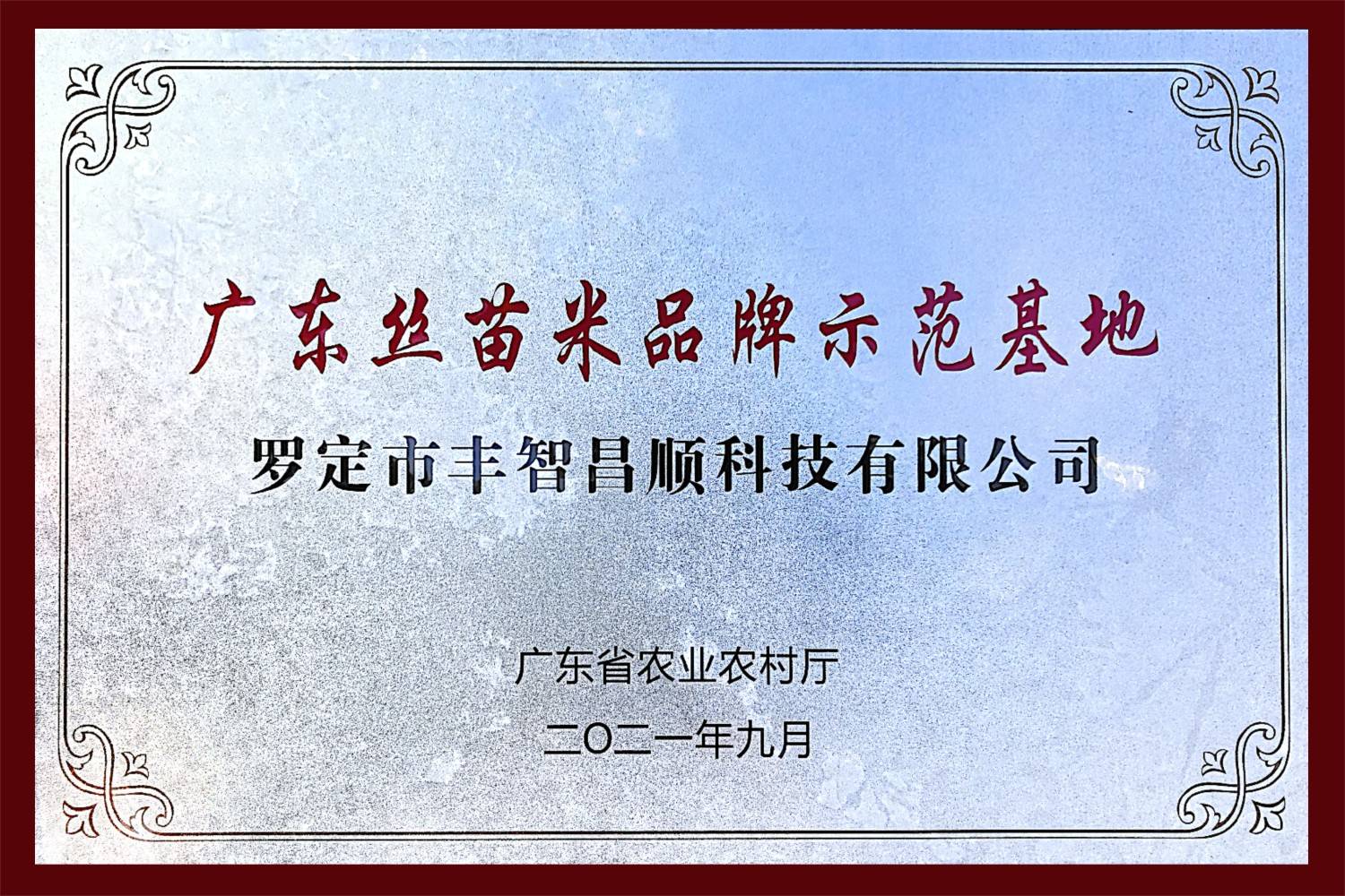 "广东丝苗米品牌示范基地"牌匾本次活动由广东省农业农村厅主办,旨在"